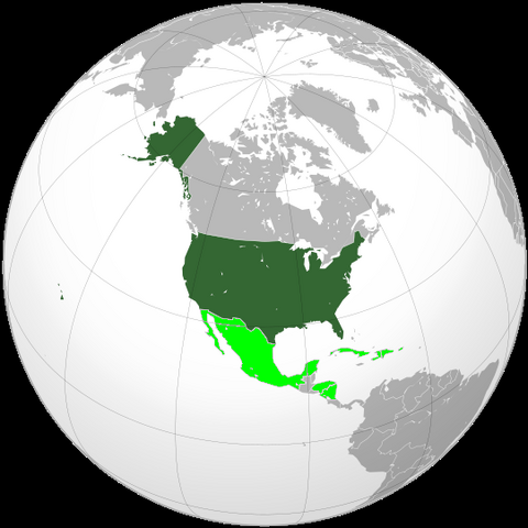 File:North America.svg.png