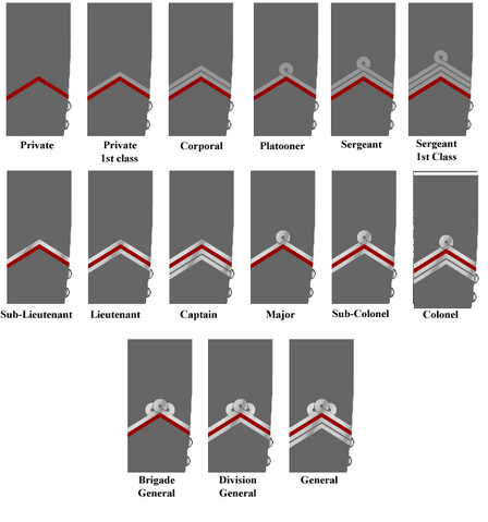 File:Poland-army-(FL).png