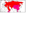 Cccp