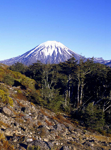 File:Tongarino.png