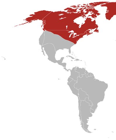 File:Nazi Influence in America.png