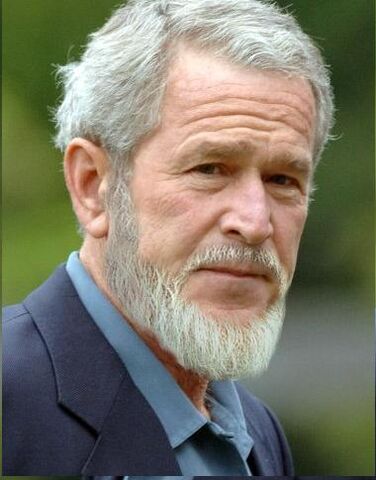 Datei:GQBush.jpg