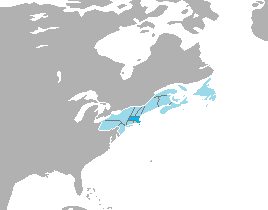 File:Massachussets.png