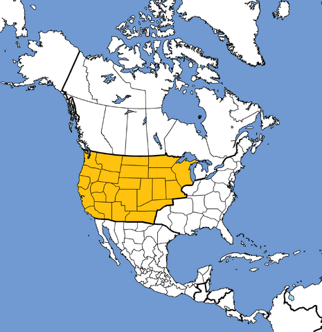 File:Ticf-colmap.png