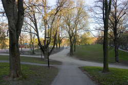 Syksyn Park