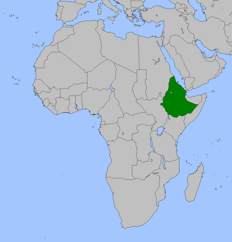 File:Ethiopia (Alternity).png