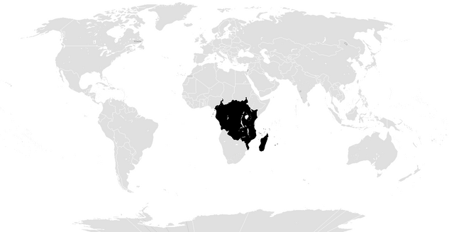 File:Example New Afrika.png
