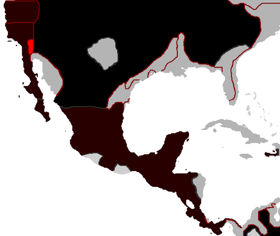 File:Kaliforno.png