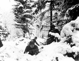 Battle of Siberia