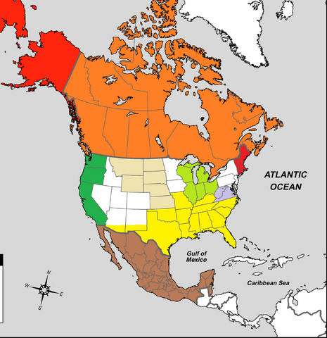 File:BEtemp.png