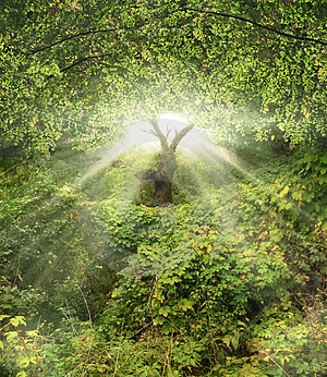 Garden-of-eden