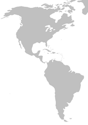 American Landmass