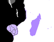 Zimbabwean War Results