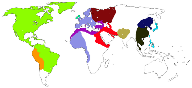 File:Ctg3.png