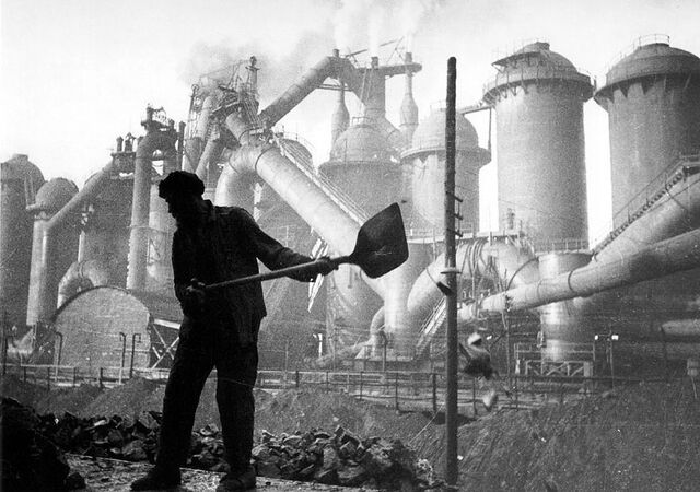 File:Alaskan Plant.jpg