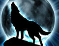 Thumbnail for version as of 12:24, April 29, 2011