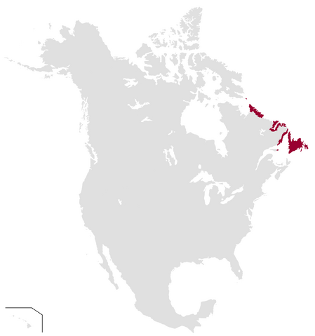 File:NNA1020.png