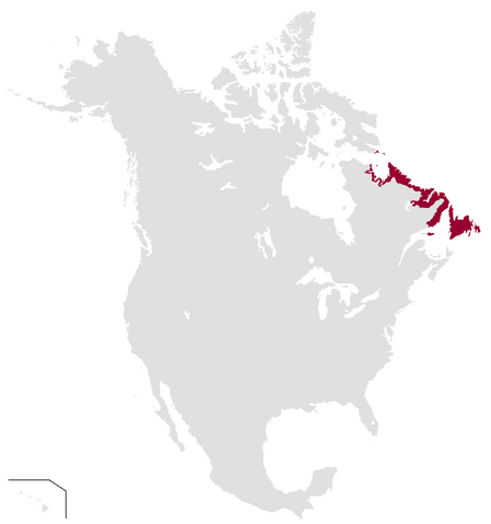 File:NNA1050.png
