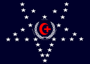 Flag DD ICRC