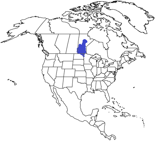 File:Assiniboia 1983DD.png