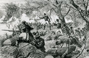 Fight in Massachusetts
