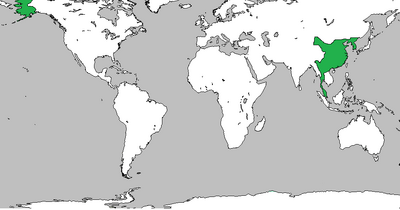 China location