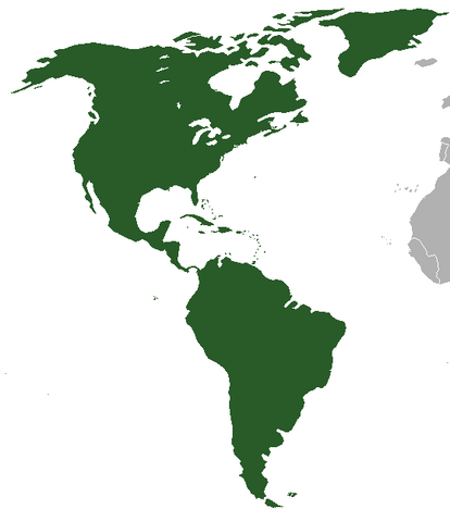 File:Our Revolution USA.png