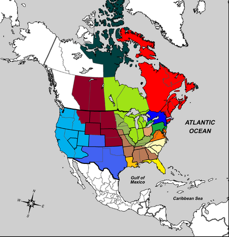 File:SOA-11g.png