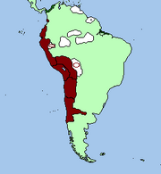 Inca, Ico, Pisac, expansion
