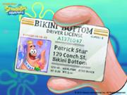 180px-License