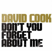 David-Cook-Dont-You