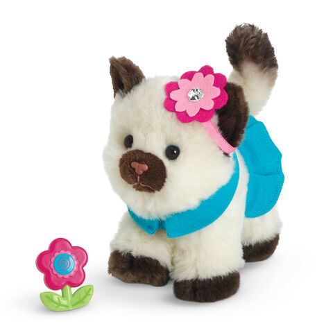 File:PreppyPetOutfit.jpg