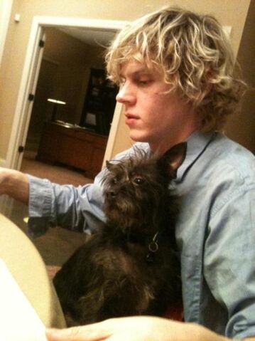 File:EvanPeters.jpg