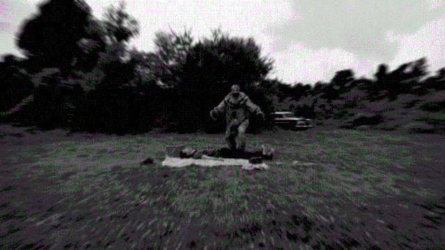 File:AniTwistyBWFilm.gif