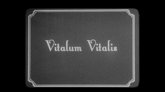 File:312VitalumVitalis1.jpg