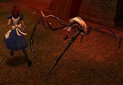 Spider attack