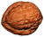 08papa