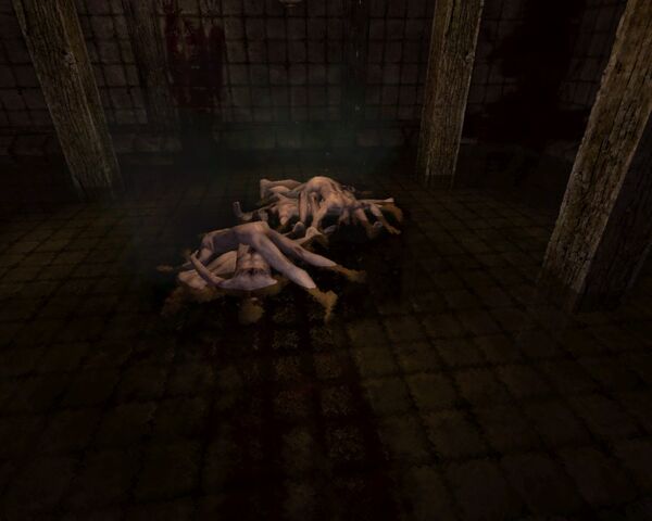 File:Amnesia 2011-01-15 12-34-44-94.jpg