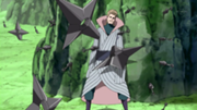 El espejismo del Segundo Mizukage.png