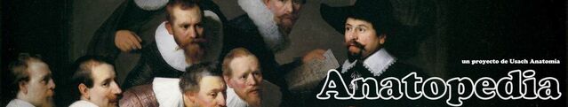 Archivo:Banner anatopedia.jpg