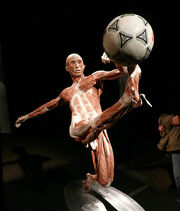 Strip Soccer