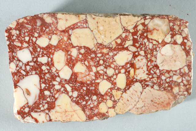 File:F-breccia corallina5.jpg