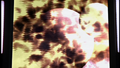 Thumbnail for version as of 01:10, May 27, 2010