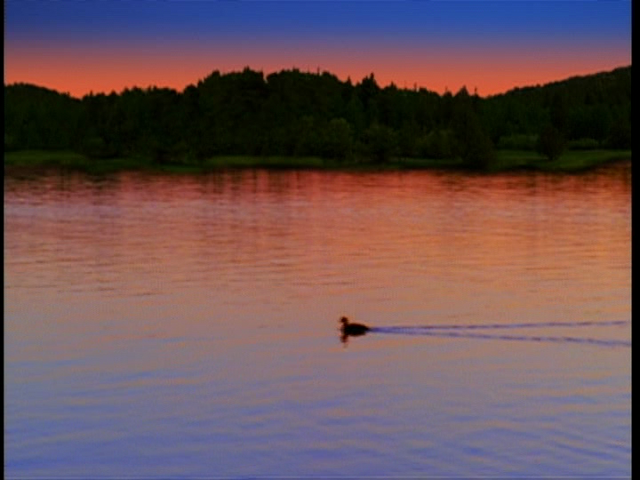File:Vlcsnap-2016-07-13-19h10m31s115.png