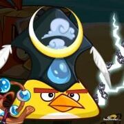 Chuck-3-Rainbird
