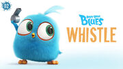 Whistle TC.jpg