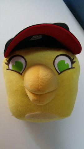 File:FB IMG 1453256061355.jpg