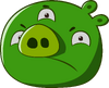 Trop race porkoid