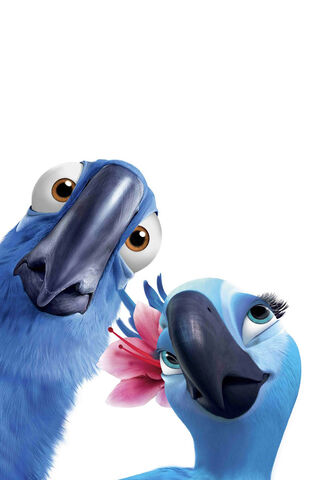File:Rio 2.jpg