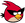 Red bird space